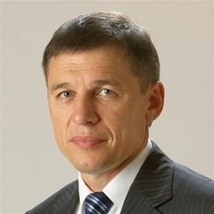 Владимир Михайлов: Продажа «Высоковского» без проверки невозможна