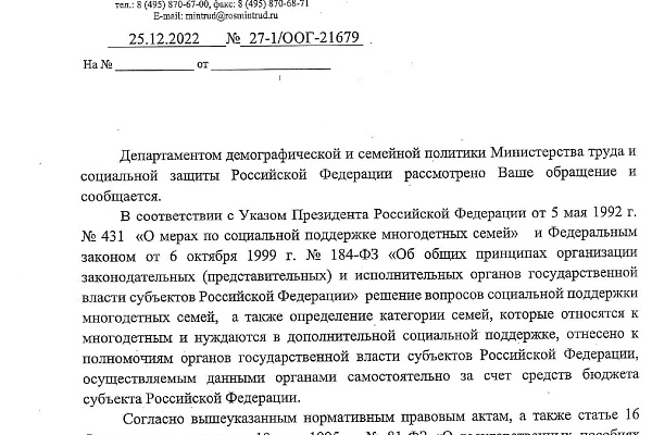 Запрос Владимира Михайлова по определению статуса многодетной семьи