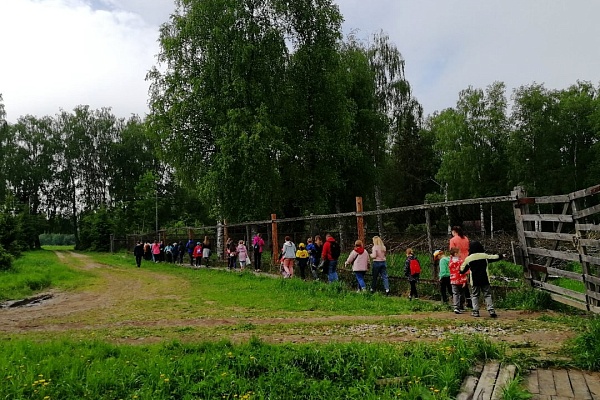 Экскурсия для детей на Сумароковскую лосеферму